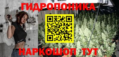 прущий лед Дубна