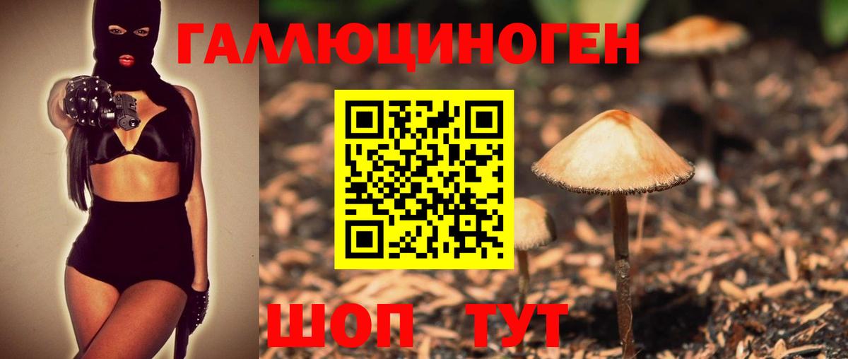 Галлюциногенные грибы GOLDEN TEACHER  Вход с VPN  Нефтекамск  Галлюциногенные грибы Cubensis 